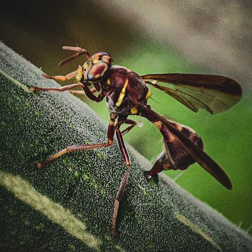 Photo #6394056