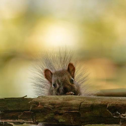 Photo #6394167