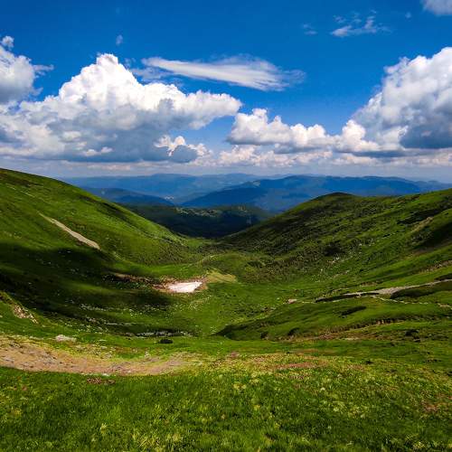 Лето в Карпатах
