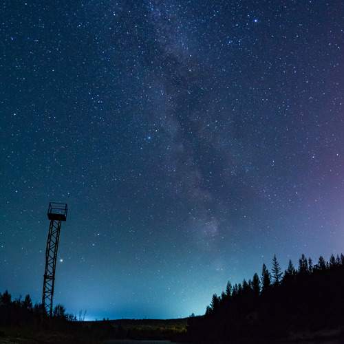 Photo #6395572