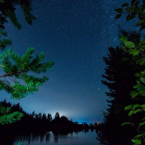 Photo #6395573