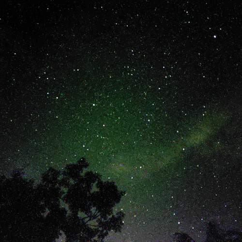 Photo #6395600
