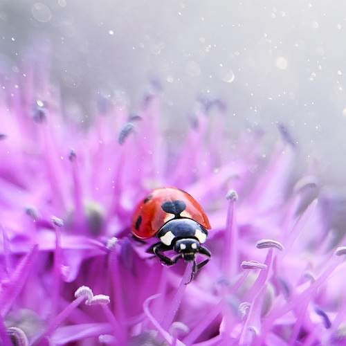 Photo #6395836