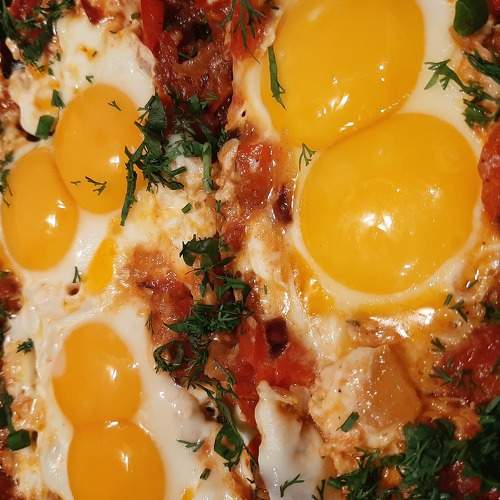 Photo #6396414