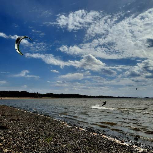 Photo #6396680