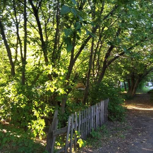 Photo #6396781