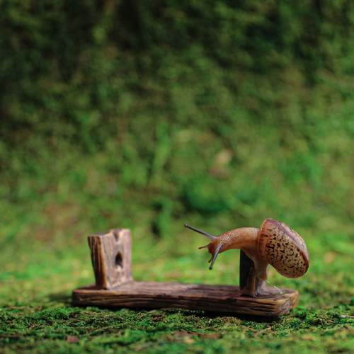 Photo #6396840