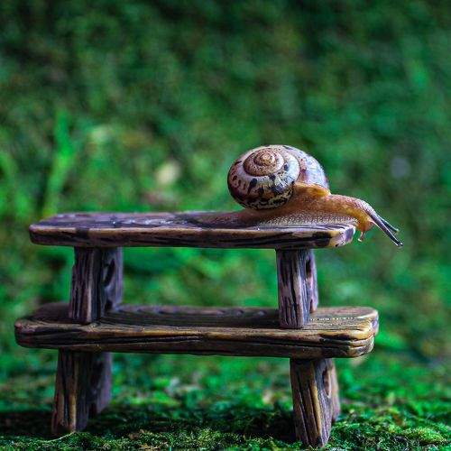 Photo #6396841