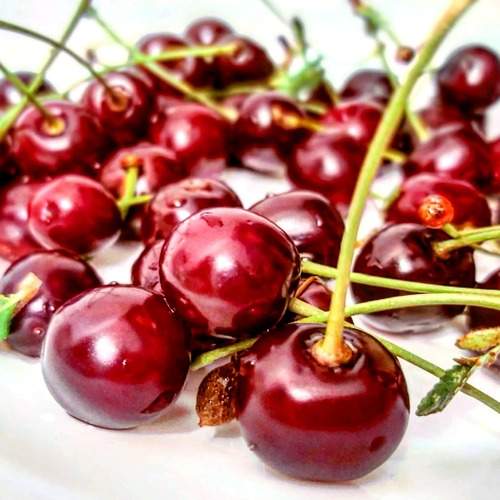 Photo #6397279