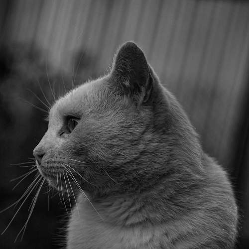 Photo #6397351