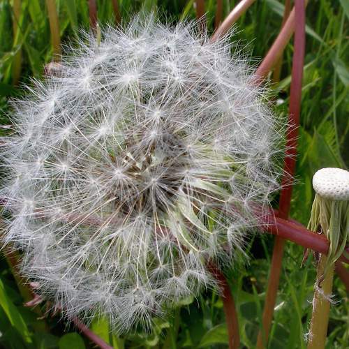 Photo #6397393