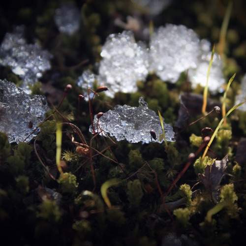 Photo #6397547