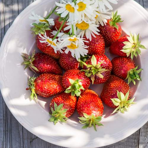 Photo #6398360