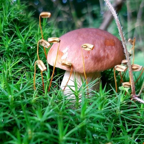 Photo #6398441