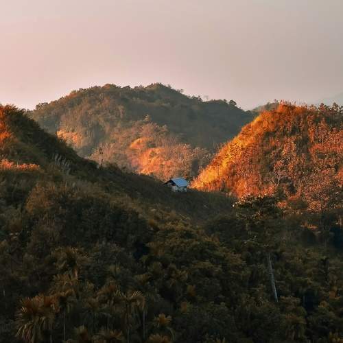 Photo #6398491