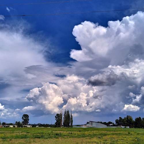 Photo #6398530