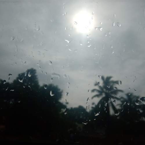 Photo #6399023