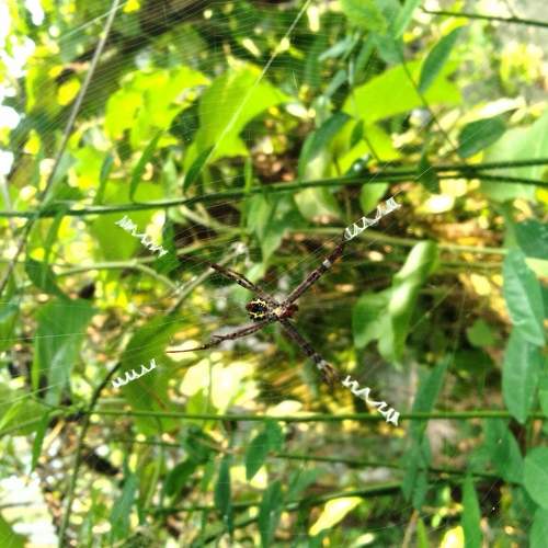Photo #6399025