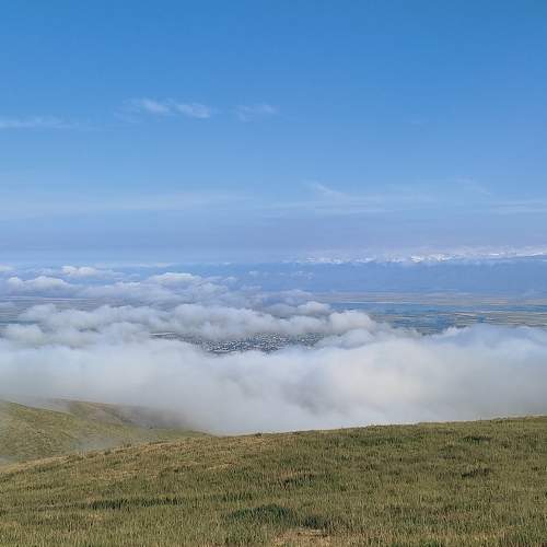 Photo #6399149