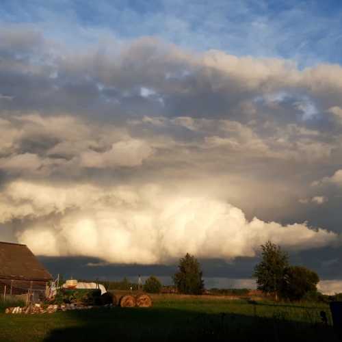 Photo #6399383