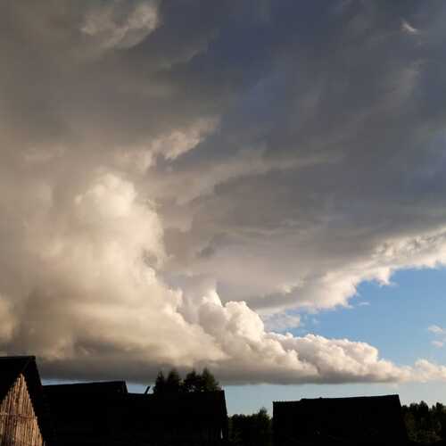 Photo #6399422