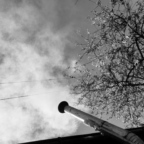Photo #6399739
