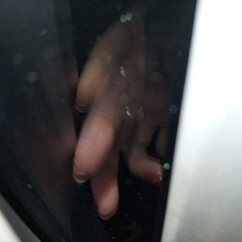 Photo #6399740