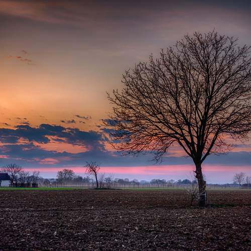 Photo #6399896