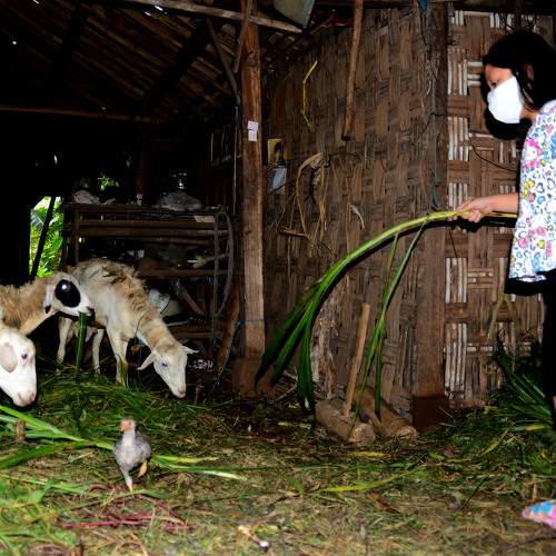 Photo #6400204