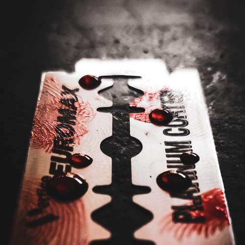 Photo #6400323