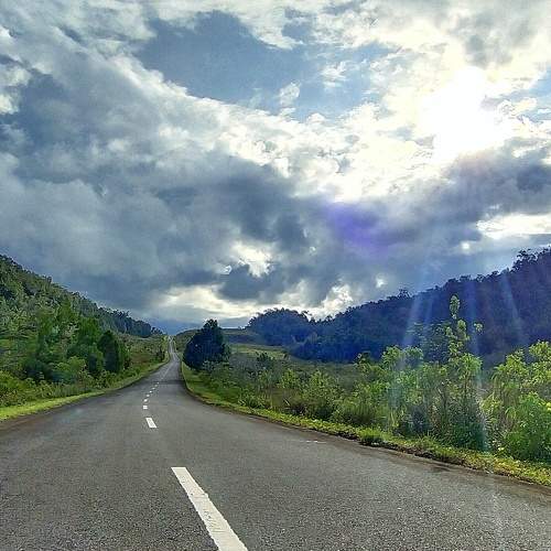 Photo #6400435
