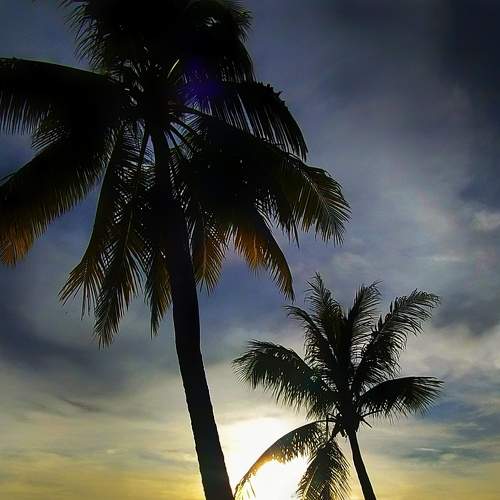 Photo #6400438