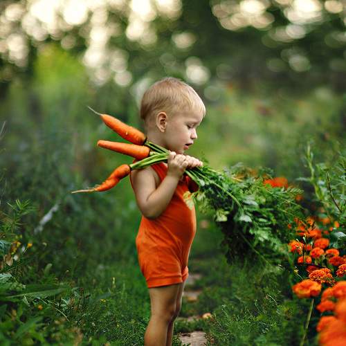 Photo #6400471