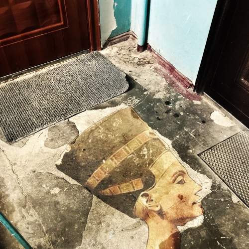 Photo #6400544