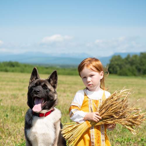 Photo #6400553