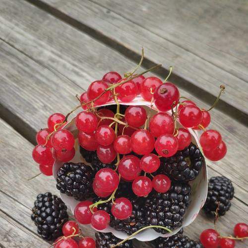 Photo #6400854