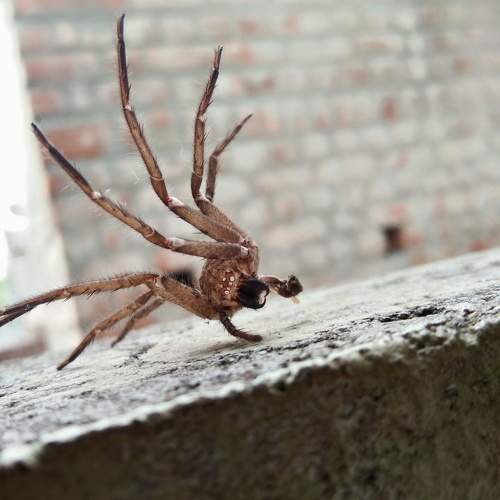 Photo #6400878