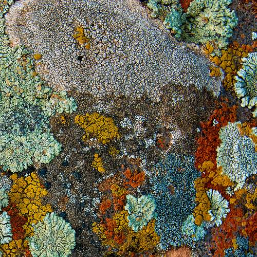 Photo #6401334