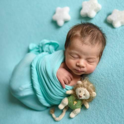 Photo #6401810