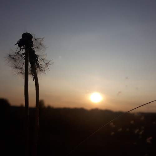 Photo #6401818