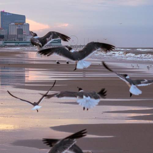 Photo #6402460
