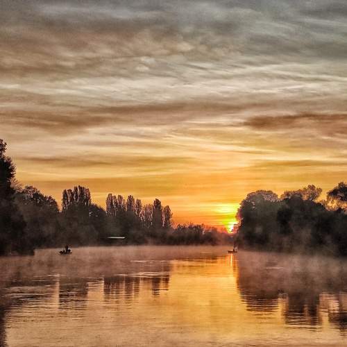 Photo #6402886