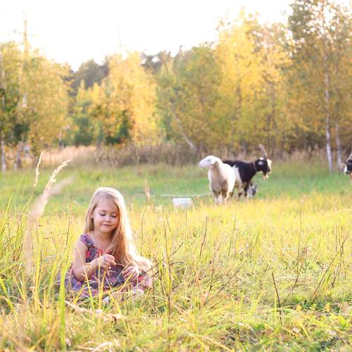 Photo #6403130