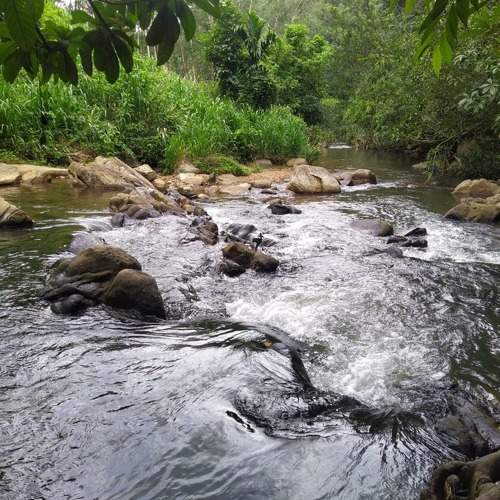 Photo #6403385