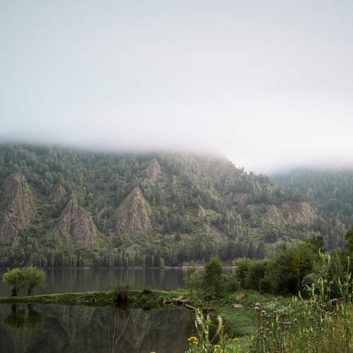 Photo #6403636