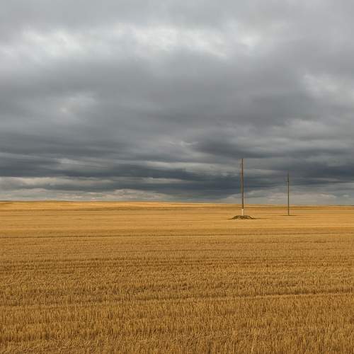 Photo #6403772