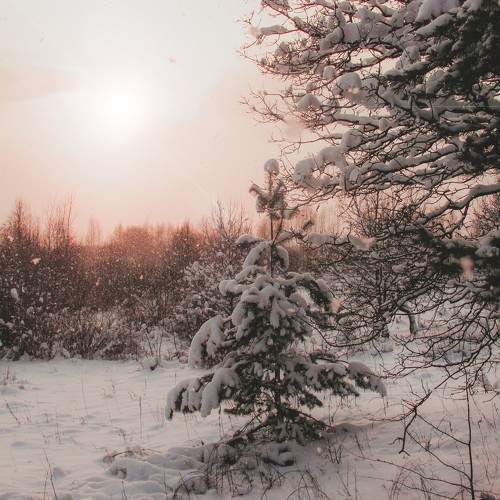 Photo #6403787