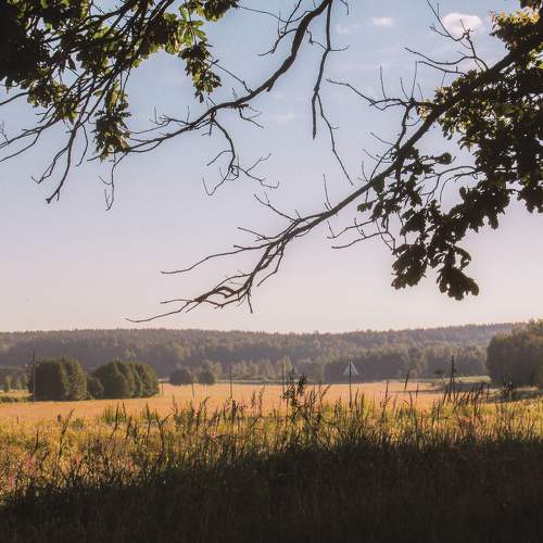 Photo #6403814