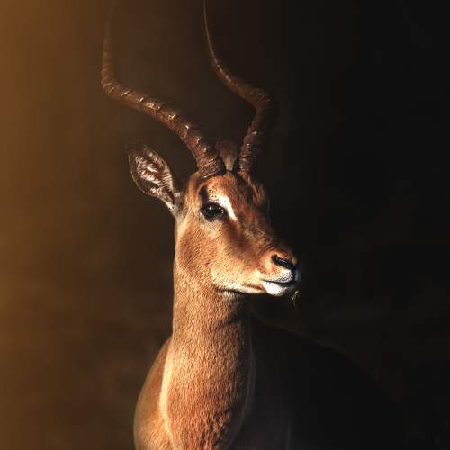 Photo #6403878