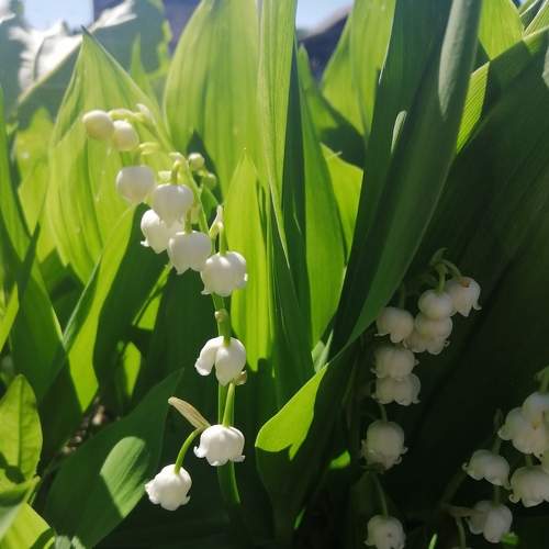 Photo #6403959